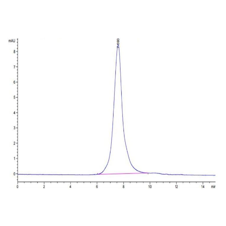 SEC-HPLC - Recombinant Human CD30 Protein (Biotin) (C-terminal His and Avi Tag) (A330304) - Antibodies.com