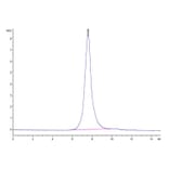SEC-HPLC - Recombinant Human CD30 Protein (Biotin) (C-terminal His and Avi Tag) (A330304) - Antibodies.com