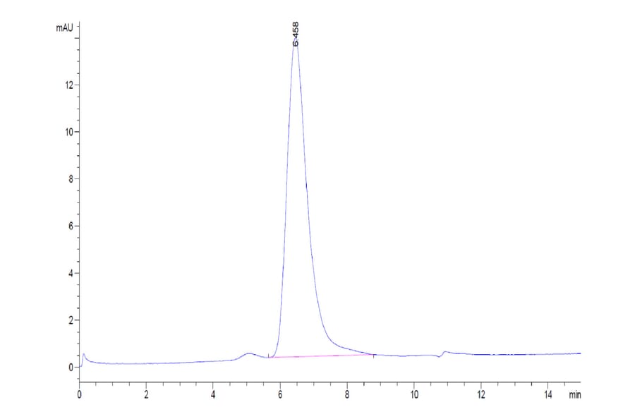 SEC-HPLC - Recombinant Human CD30 Protein (C-terminal His and Avi Tag) (A330306) - Antibodies.com