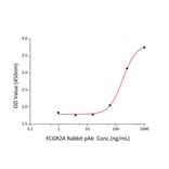 Standard Curve - Recombinant Human CD32 Protein (C-terminal Human Fc and His Tag) (A330312) - Antibodies.com