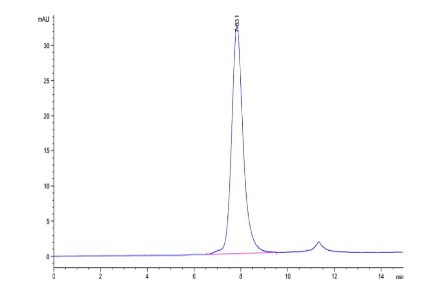 SEC-HPLC - Recombinant Human CD32 Protein (Biotin) (C-terminal His and Avi Tag) (A330314) - Antibodies.com