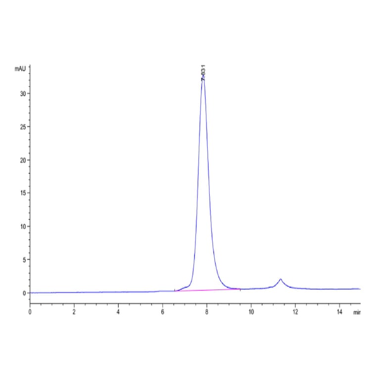 SEC-HPLC - Recombinant Human CD32 Protein (Biotin) (C-terminal His and Avi Tag) (A330314) - Antibodies.com