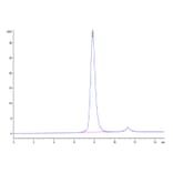 SEC-HPLC - Recombinant Human CD32 Protein (Biotin) (C-terminal His and Avi Tag) (A330314) - Antibodies.com
