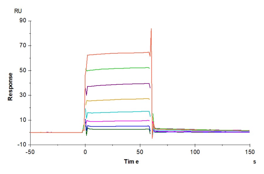 SPR Assay - Recombinant Human CD32 Protein (Biotin) (C-terminal His and Avi Tag) (A330314) - Antibodies.com