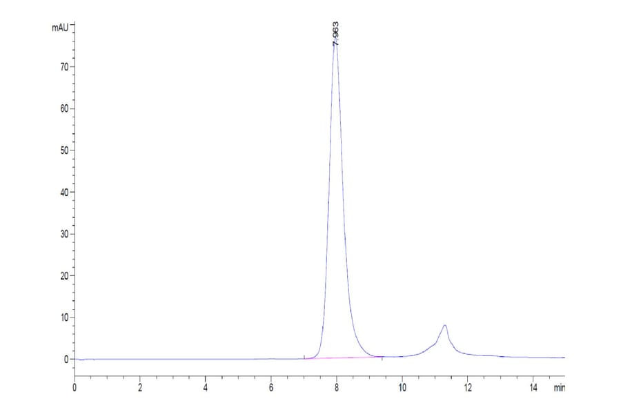 SEC-HPLC - Recombinant Human CD32 Protein (Biotin) (C-terminal His and Avi Tag) (A330315) - Antibodies.com