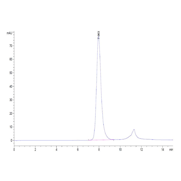 SEC-HPLC - Recombinant Human CD32 Protein (Biotin) (C-terminal His and Avi Tag) (A330315) - Antibodies.com
