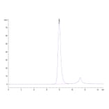 SEC-HPLC - Recombinant Human CD32 Protein (Biotin) (C-terminal His and Avi Tag) (A330315) - Antibodies.com