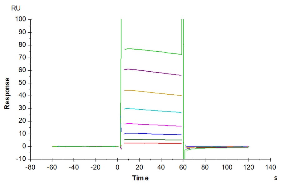SPR Assay - Recombinant Human CD32 Protein (Biotin) (C-terminal His and Avi Tag) (A330315) - Antibodies.com