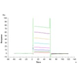 SPR Assay - Recombinant Human CD32 Protein (Biotin) (C-terminal His and Avi Tag) (A330315) - Antibodies.com