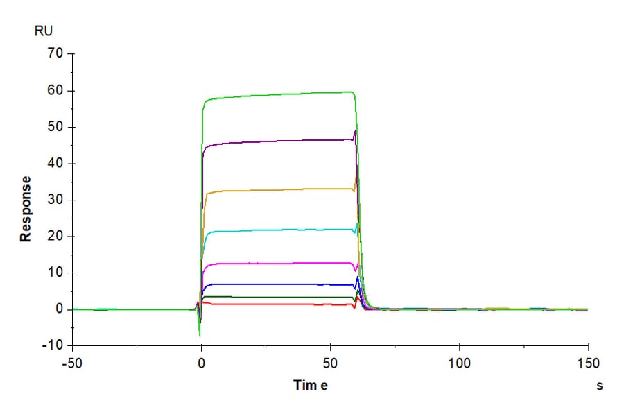 SPR Assay - Recombinant Human CD32 Protein (Biotin) (C-terminal His and Avi Tag) (A330315) - Antibodies.com