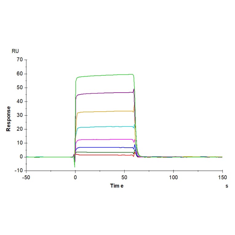 SPR Assay - Recombinant Human CD32 Protein (Biotin) (C-terminal His and Avi Tag) (A330315) - Antibodies.com