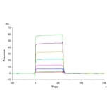SPR Assay - Recombinant Human CD32 Protein (Biotin) (C-terminal His and Avi Tag) (A330315) - Antibodies.com