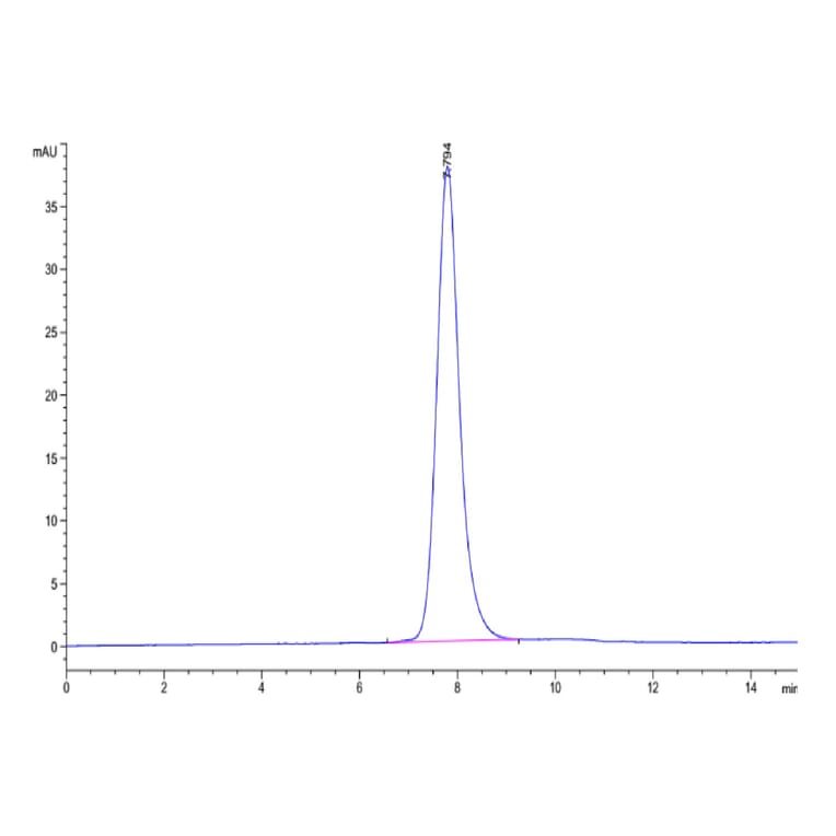 SEC-HPLC - Recombinant Human CD32 Protein (C-terminal His and Avi Tag) (A330316) - Antibodies.com