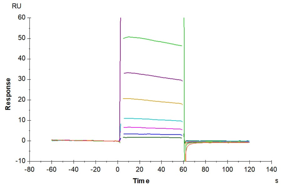 SPR Assay - Recombinant Human CD32 Protein (C-terminal His and Avi Tag) (A330316) - Antibodies.com