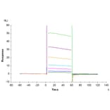 SPR Assay - Recombinant Human CD32 Protein (C-terminal His and Avi Tag) (A330316) - Antibodies.com