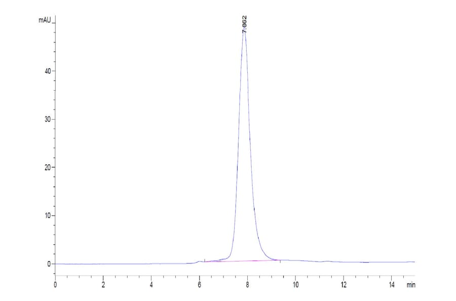 SEC-HPLC - Recombinant Human CD32 Protein (C-terminal His and Avi Tag) (A330317) - Antibodies.com