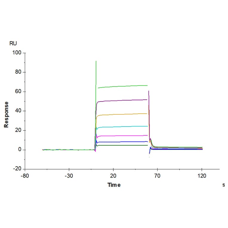 SPR Assay - Recombinant Human CD32 Protein (C-terminal His and Avi Tag) (A330317) - Antibodies.com