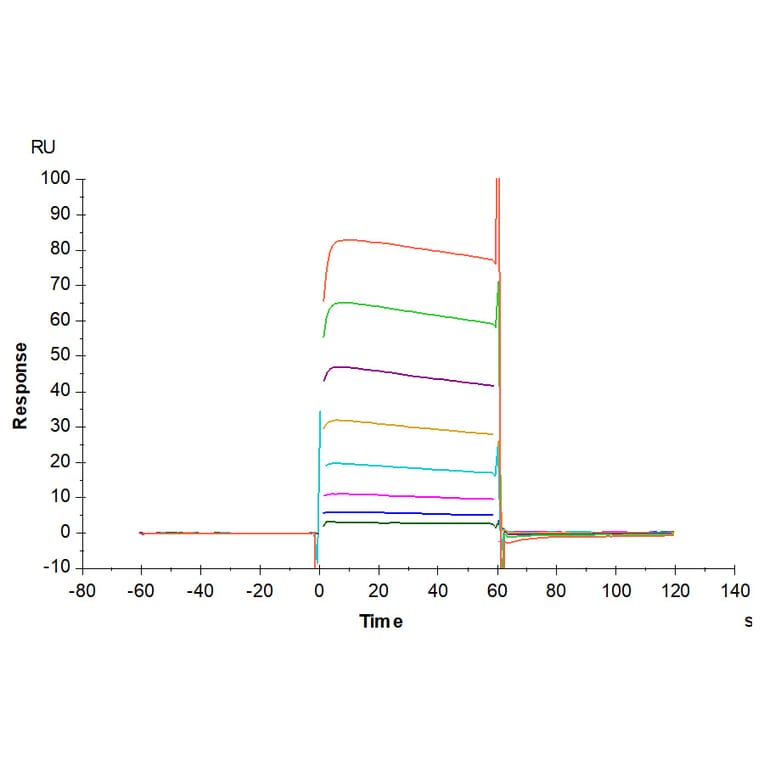 SPR Assay - Recombinant Human CD32 Protein (C-terminal His and Avi Tag) (A330317) - Antibodies.com