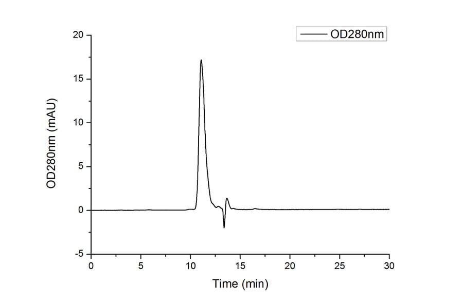 SEC-HPLC - Recombinant Human CD32 Protein (C-terminal His Tag) (A330318) - Antibodies.com