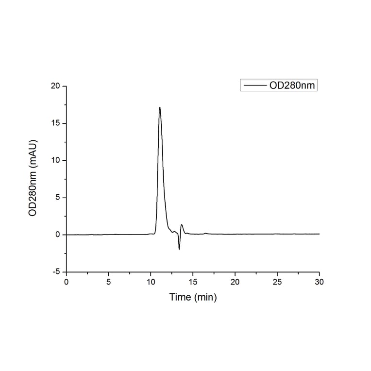 SEC-HPLC - Recombinant Human CD32 Protein (C-terminal His Tag) (A330318) - Antibodies.com