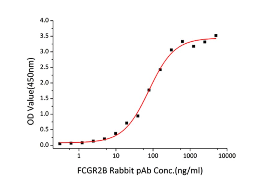 Standard Curve - Recombinant Human CD32 Protein (C-terminal His Tag) (A330318) - Antibodies.com