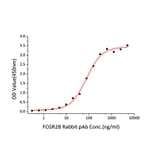 Standard Curve - Recombinant Human CD32 Protein (C-terminal His Tag) (A330318) - Antibodies.com