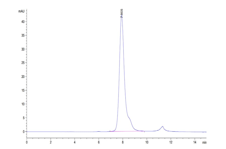 SEC-HPLC - Recombinant Human CD32 Protein (Biotin) (C-terminal His and Avi Tag) (A330319) - Antibodies.com