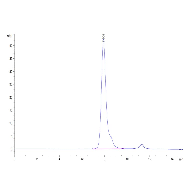 SEC-HPLC - Recombinant Human CD32 Protein (Biotin) (C-terminal His and Avi Tag) (A330319) - Antibodies.com