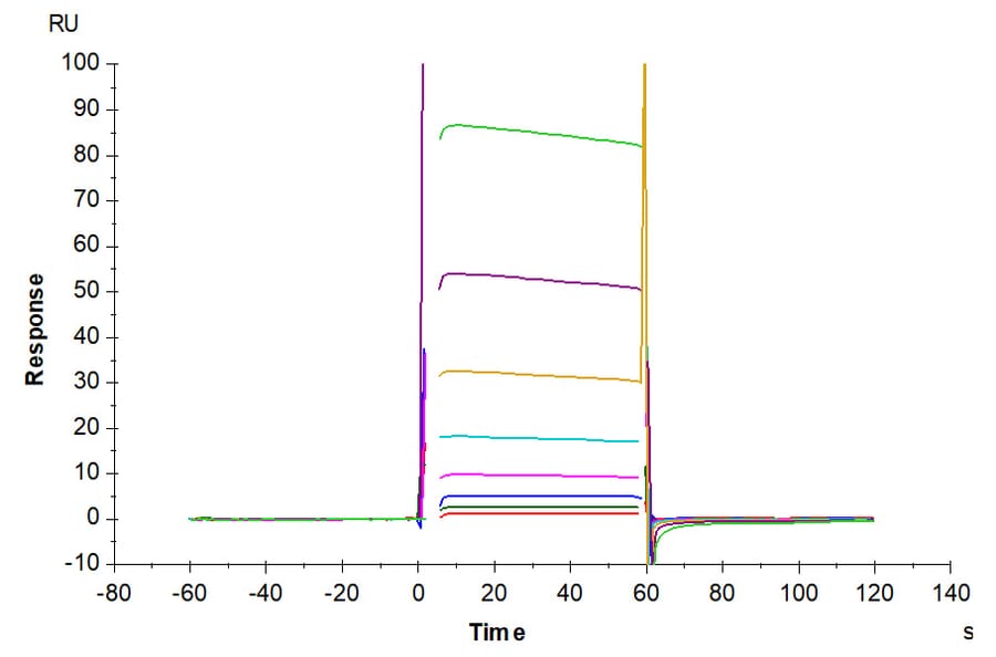 SPR Assay - Recombinant Human CD32 Protein (Biotin) (C-terminal His and Avi Tag) (A330319) - Antibodies.com
