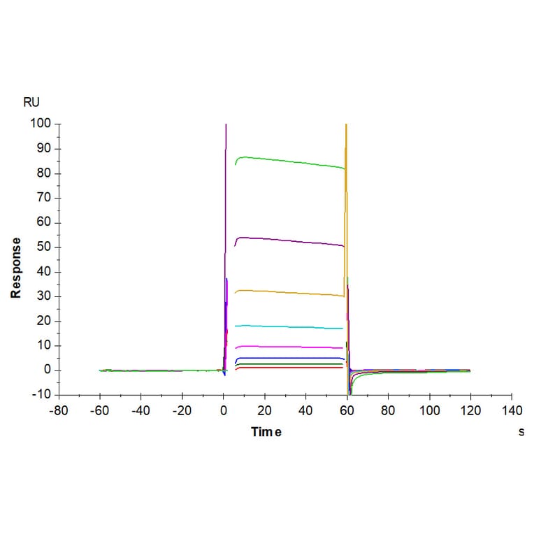 SPR Assay - Recombinant Human CD32 Protein (Biotin) (C-terminal His and Avi Tag) (A330319) - Antibodies.com