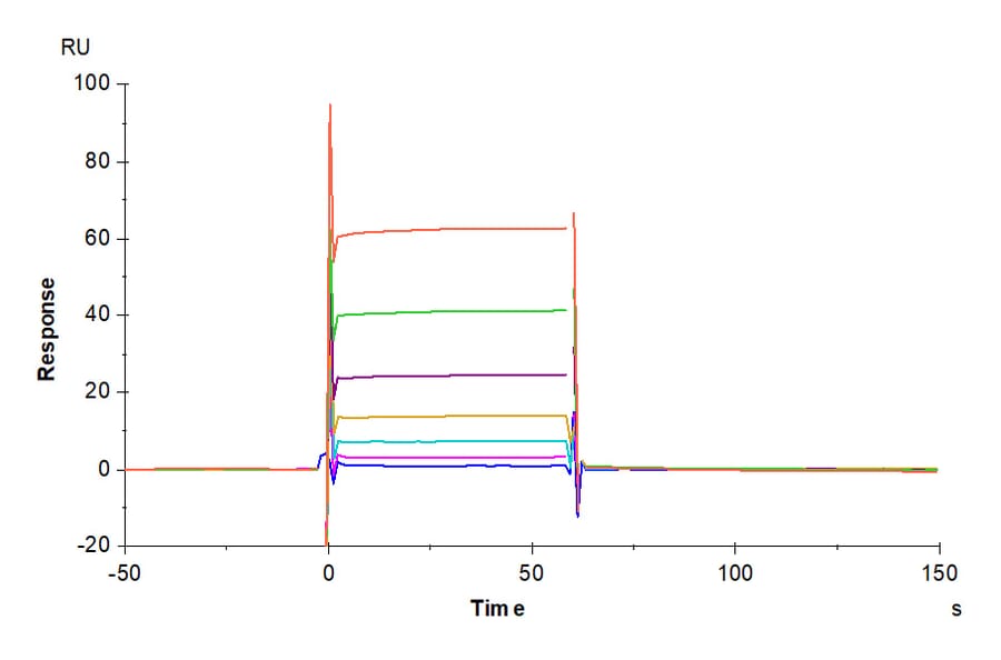 SPR Assay - Recombinant Human CD32 Protein (Biotin) (C-terminal His and Avi Tag) (A330319) - Antibodies.com