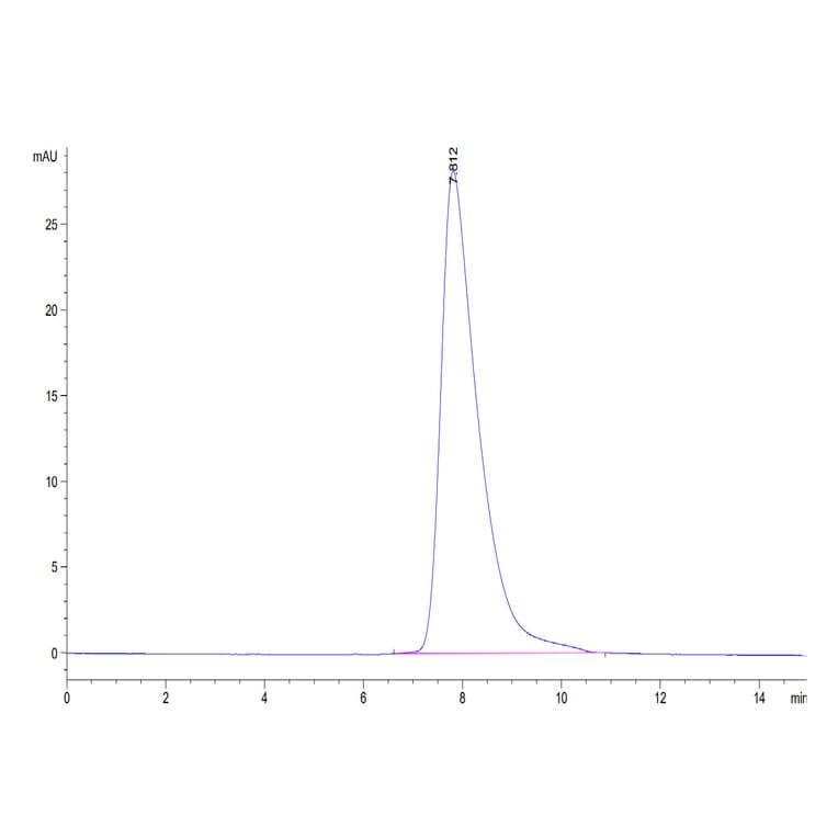 SEC-HPLC - Recombinant Human CD32 Protein (C-terminal His and Avi Tag) (A330320) - Antibodies.com