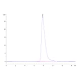 SEC-HPLC - Recombinant Human CD32 Protein (C-terminal His and Avi Tag) (A330320) - Antibodies.com