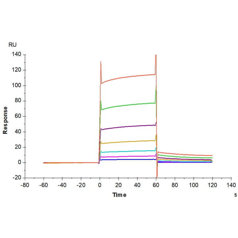 SPR Assay - Recombinant Human CD32 Protein (C-terminal His and Avi Tag) (A330320) - Antibodies.com