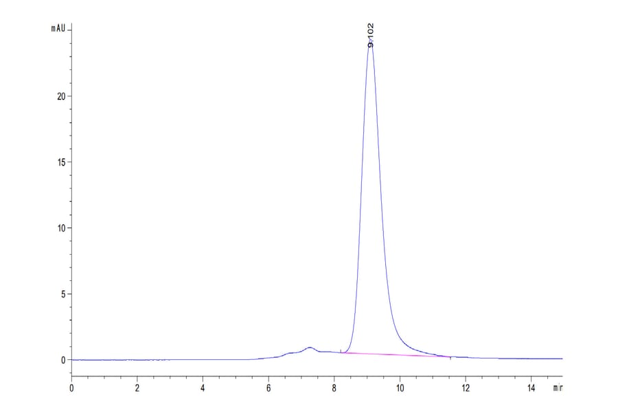 SEC-HPLC - Recombinant Human CD33 Protein (C-terminal His and Avi Tag) (A330323) - Antibodies.com