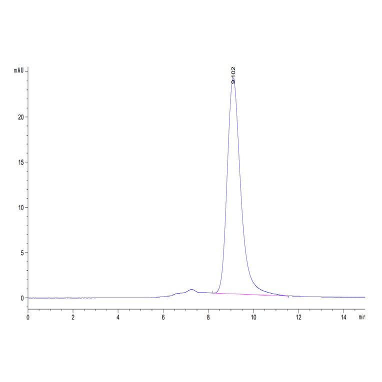 SEC-HPLC - Recombinant Human CD33 Protein (C-terminal His and Avi Tag) (A330323) - Antibodies.com