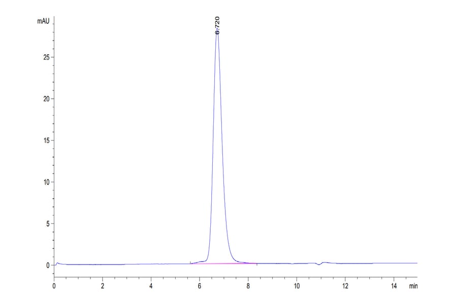 SEC-HPLC - Recombinant Human CD33 Protein (C-terminal Human Fc Tag) (A330324) - Antibodies.com