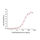 Standard Curve - Recombinant Mouse CD38 Protein (C-terminal His Tag) (A330328) - Antibodies.com