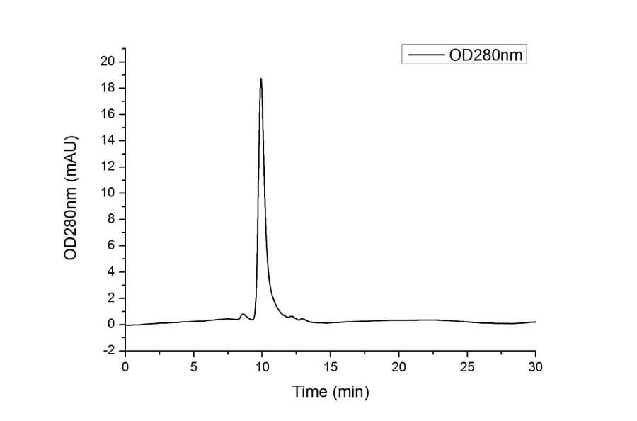 SEC-HPLC - Recombinant Human CD38 Protein (C-terminal His Tag) (A330329) - Antibodies.com