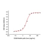 Standard Curve - Recombinant Human CD38 Protein (C-terminal His Tag) (A330329) - Antibodies.com