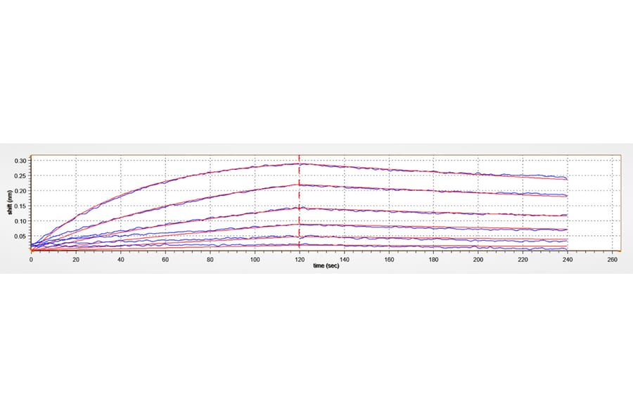 BLI Assay - Recombinant Human CD38 Protein (C-terminal His Tag) (A330329) - Antibodies.com