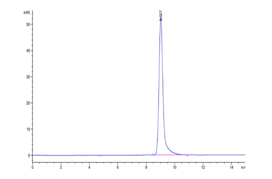SEC-HPLC - Recombinant Human CD38 Protein (Biotin) (C-terminal His and Avi Tag) (A330330) - Antibodies.com
