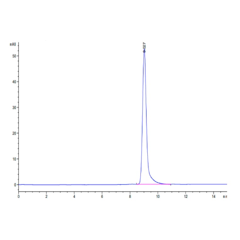 SEC-HPLC - Recombinant Human CD38 Protein (Biotin) (C-terminal His and Avi Tag) (A330330) - Antibodies.com