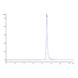 SEC-HPLC - Recombinant Human CD38 Protein (Biotin) (C-terminal His and Avi Tag) (A330330) - Antibodies.com