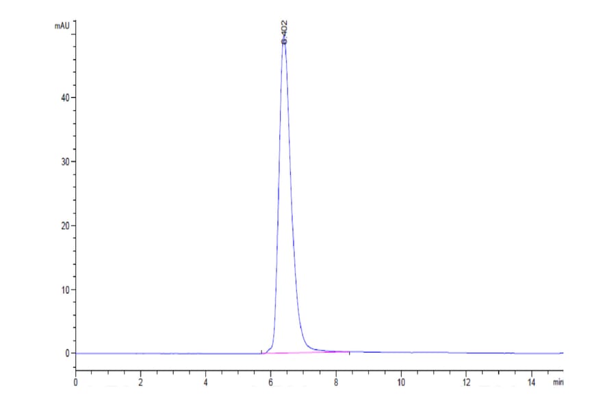 SEC-HPLC - Recombinant Human CD38 Protein (C-terminal Human Fc Tag) (A330331) - Antibodies.com