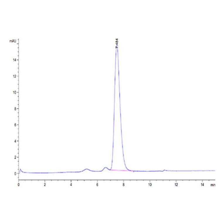 SEC-HPLC - Recombinant Human CD3d Protein (C-terminal His Tag) (A330332) - Antibodies.com