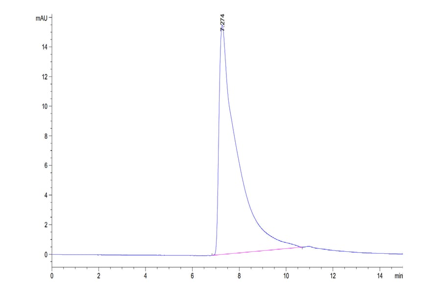 SEC-HPLC - Recombinant Human CD4 Protein (Biotin) (C-terminal His and Avi Tag) (A330334) - Antibodies.com