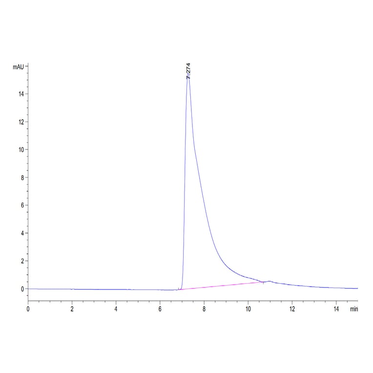SEC-HPLC - Recombinant Human CD4 Protein (Biotin) (C-terminal His and Avi Tag) (A330334) - Antibodies.com