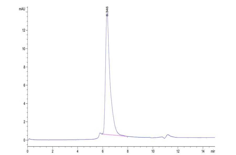 SEC-HPLC - Recombinant Human CD4 Protein (C-terminal Human Fc Tag) (A330335) - Antibodies.com