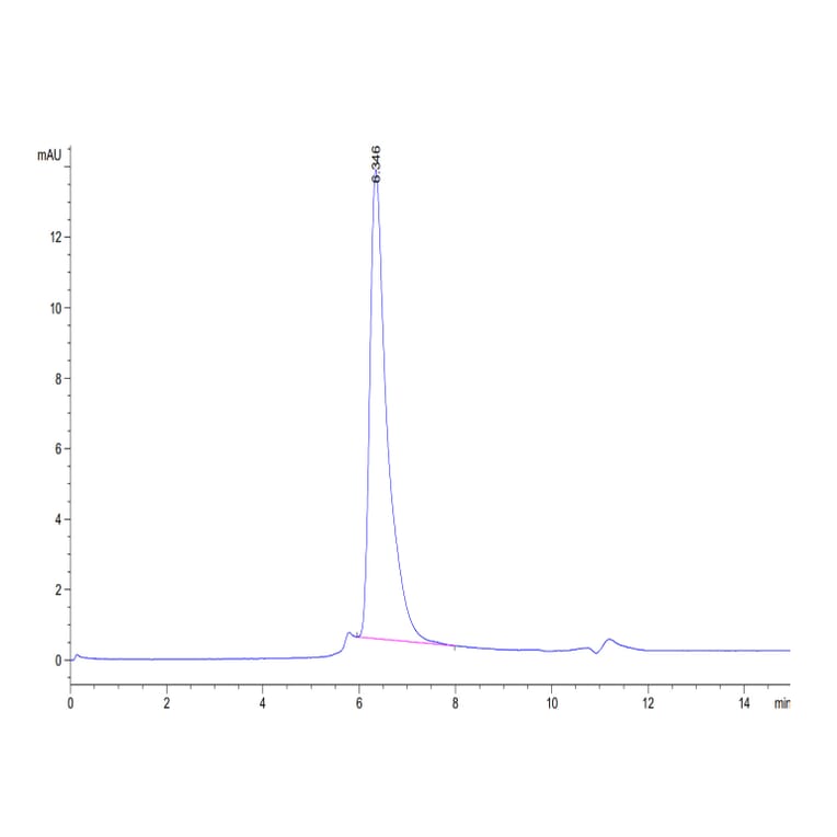 SEC-HPLC - Recombinant Human CD4 Protein (C-terminal Human Fc Tag) (A330335) - Antibodies.com